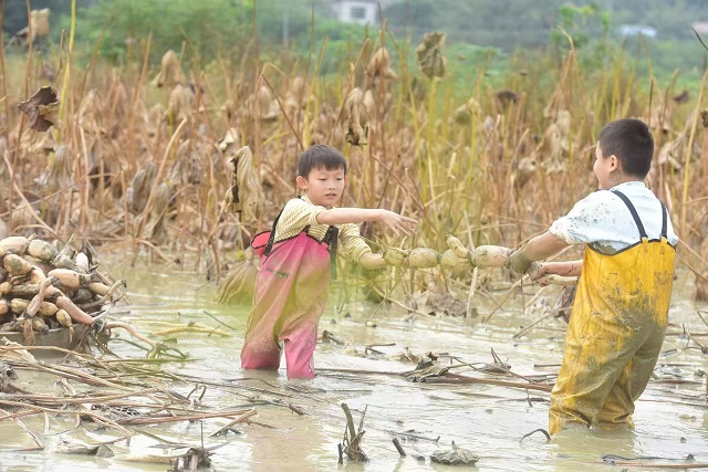 39b05056406761642507086aef36a245 39b05056406761642507086aef36a245