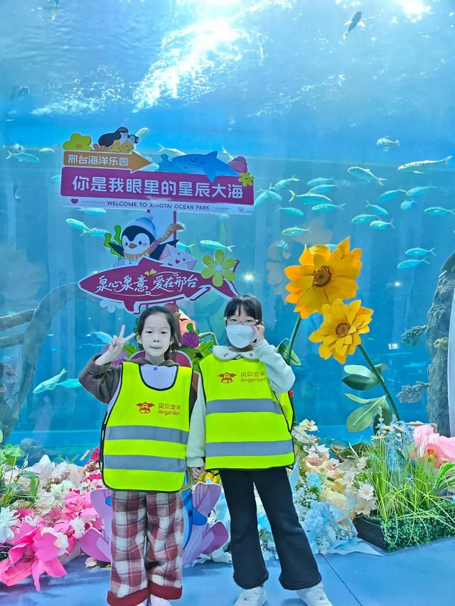 8ad500f302b3e89cbbe3083628761942 8ad500f302b3e89cbbe3083628761942