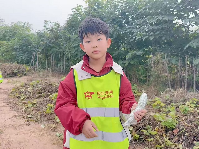 172bf7e0bbdd009bb3111c8fd0325d83 172bf7e0bbdd009bb3111c8fd0325d83