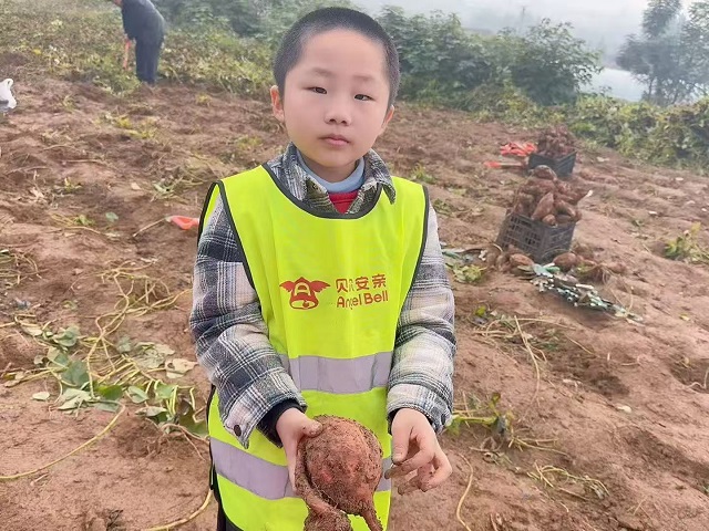 97296f29bae650cddd615a814c4b560f 97296f29bae650cddd615a814c4b560f