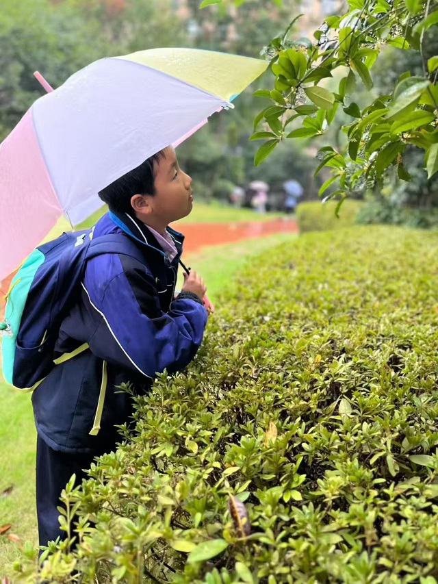 5eb1242e8272134dd86f51f7162c35ee