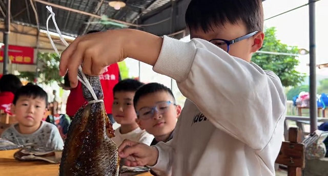 20b242f346f54a499dc281420dec36d5