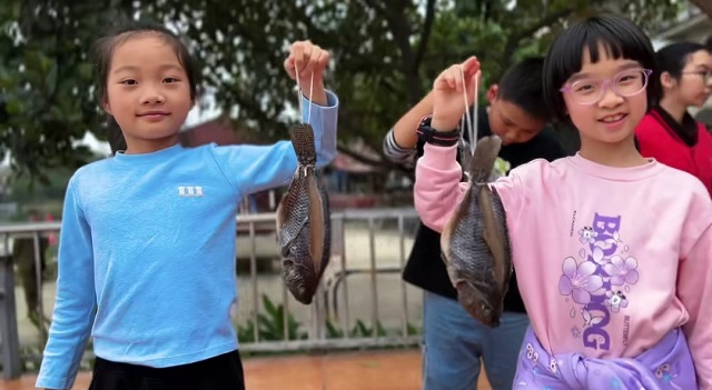 29553f83fc273b17b8d6df58028ce23f