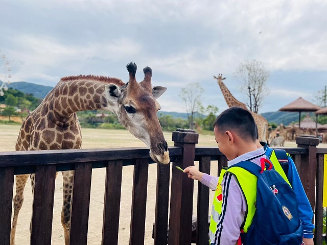 e1138d9a81a1032d974cd75ac4a1395f