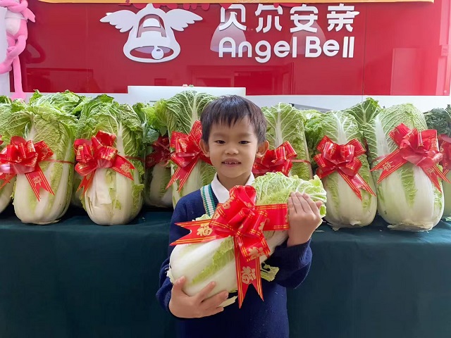 70590d7b76ad14ddd7b46f18ce5279f1