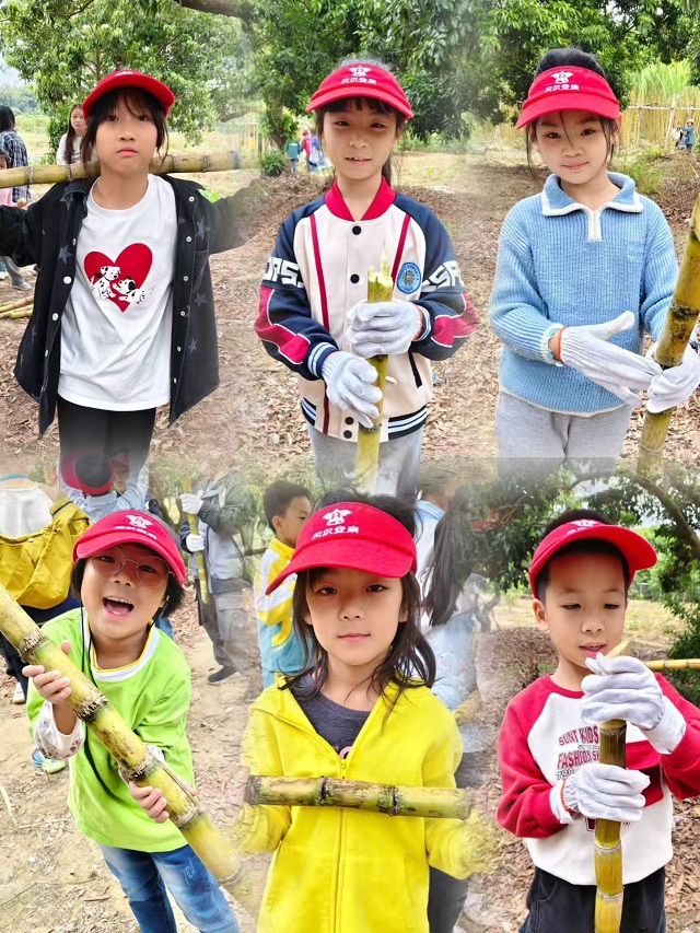 2c4f2798e785dd00c6b6917004f0198d