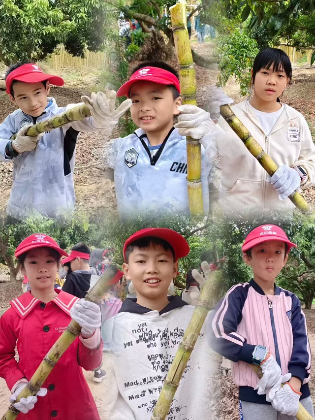 a03bd969baaca85b503a24905b184ba4