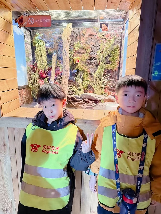 2c309c34c381755c2562b75906c324cf