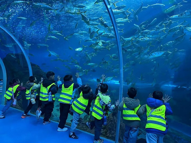 133606de11574ab48d2d59925e28429a