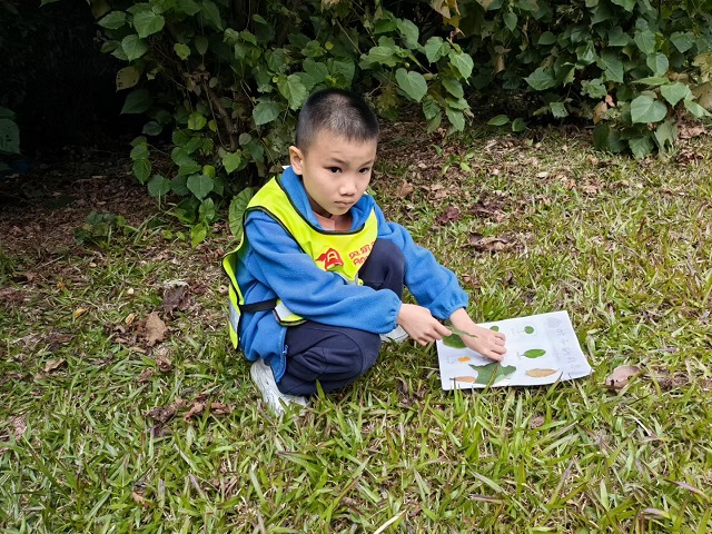 b6d90c9f0c6bdbbbc6d489ee0bf5d826