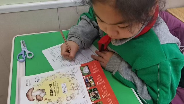 9161ad36e7a3f895c03685f0fdd1a4c3