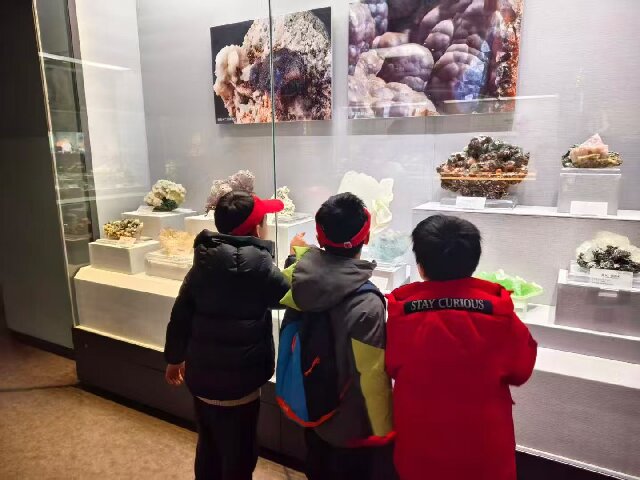 42fd3f2129a4c4ea3e570f279e7e7a26