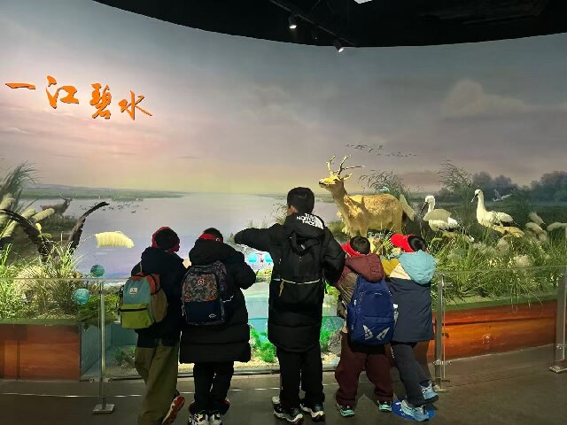 aa32595997c6eaee3923847e608e4605