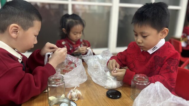 f91c5424db75ddb8d7566518f7502c24