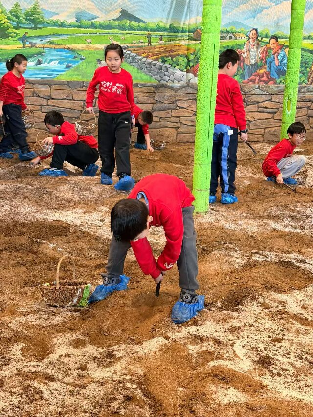 fcfe519832107500e733d057de81c858