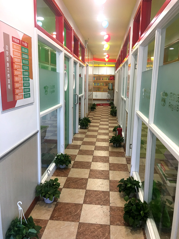 河北省石家庄市裕华区国际城小学校区