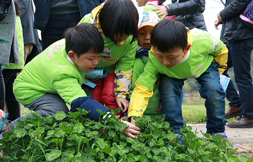 植树活动